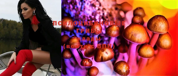 первитин Дмитров