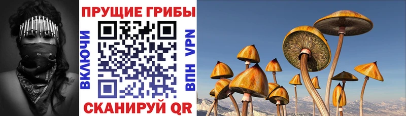 Псилоцибиновые грибы Psilocybine cubensis сайты даркнета состав Севастополь